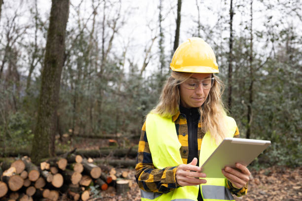 istock Female environmentalist researcher with data gathering equipment in a storm damaged forest 2027261672