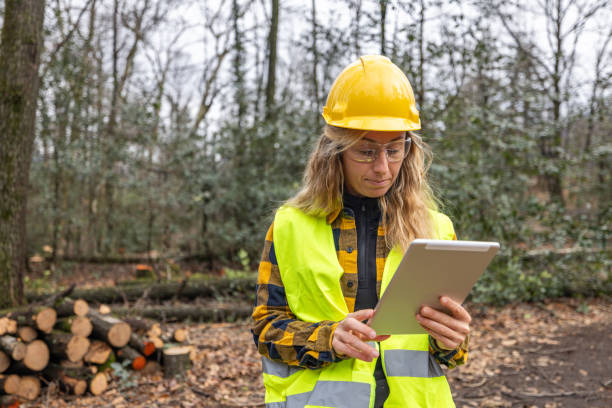 istock Female environmentalist researcher with data gathering equipment in a storm damaged forest 2027261680