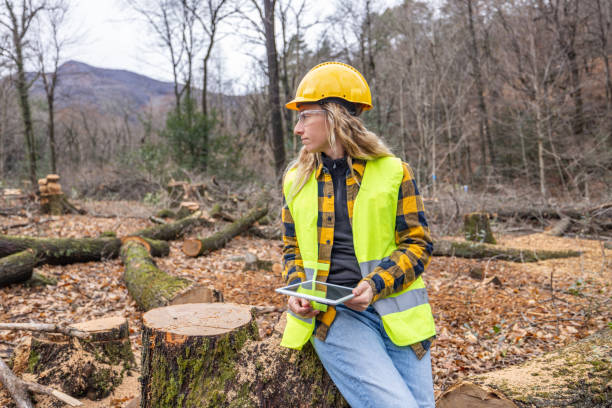 istock Female environmentalist researcher with data gathering equipment in a storm damaged forest 2027262212