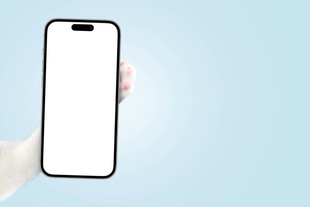 istock White cat paw holding smartphone mockup on blue background. Creative animal advertising, concept. Application ad and free copy space for design. Funny cat holds a smartphone in its paw and shows 2027316355