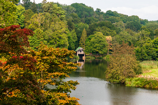 Hiking area in autumn season in Winkworth Arboretum National Trust, Godalming, Surrey , England