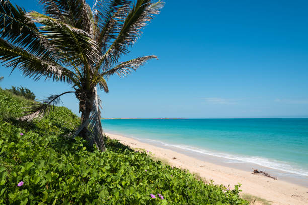istock Sandy beach and serene waters in Broome,  Western Australia 2027349679