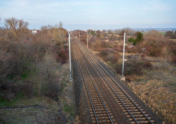 istock Railroad tracks in forest without leaves 2027361365