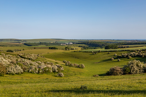 A view from Ditchling Beacon in Sussex on a sunny summer's day