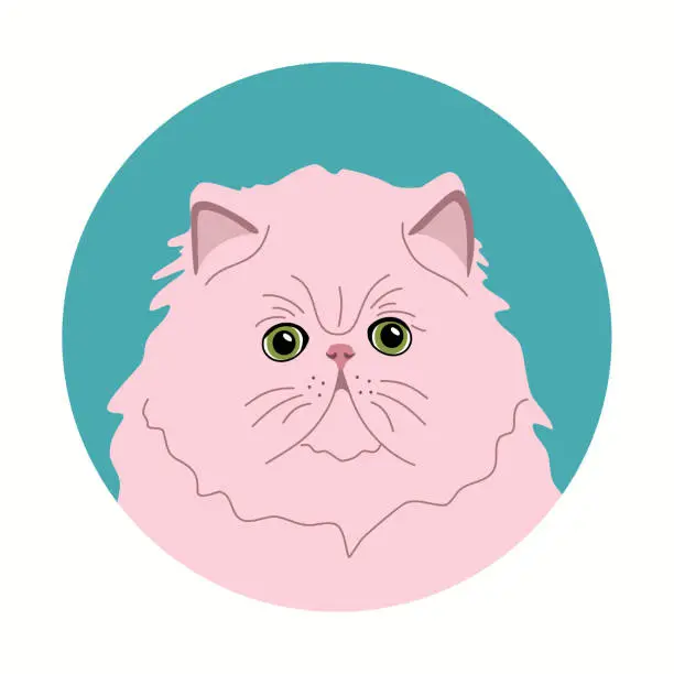 Vector illustration of Persian cat face. Portrait of cute pet.