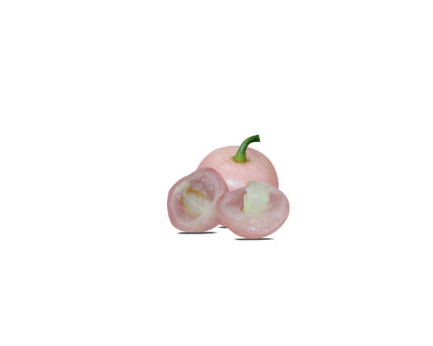 istock Cayratia mollissima or Cayratia fruit 2027438149
