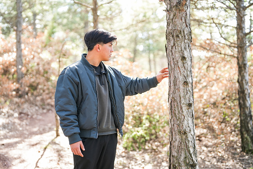 young man touching the pine tree in the forest with his hand, looking at nature