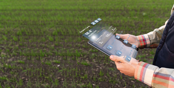 Digital tablet on the green grasses