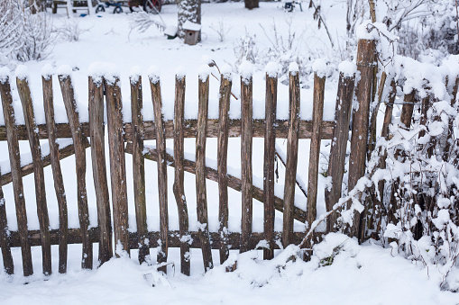 Snow-covered garden fence with garden gate at an allotment garden in winter, Germany