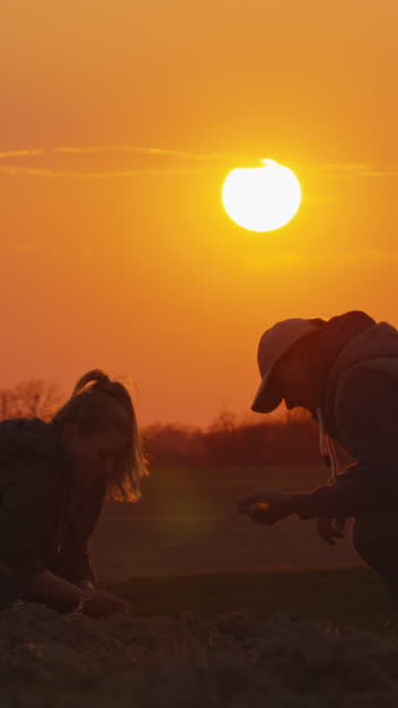 SLO MO Male and Female Agronomists Examining Soil while Working in Agricultural Field During Golden Hour