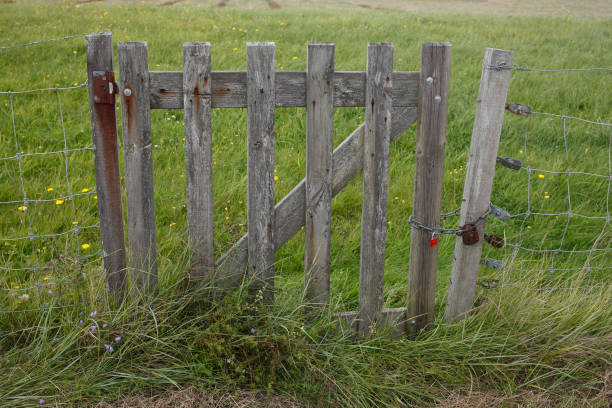istock Wooden fence gate on a willow fence, Germany 2027457824