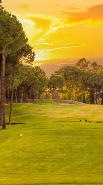 istock Tee box area at golf course at sunset with beautiful sky. Scenic panoramic view of golf fairway. Golf field with pines 2027464508