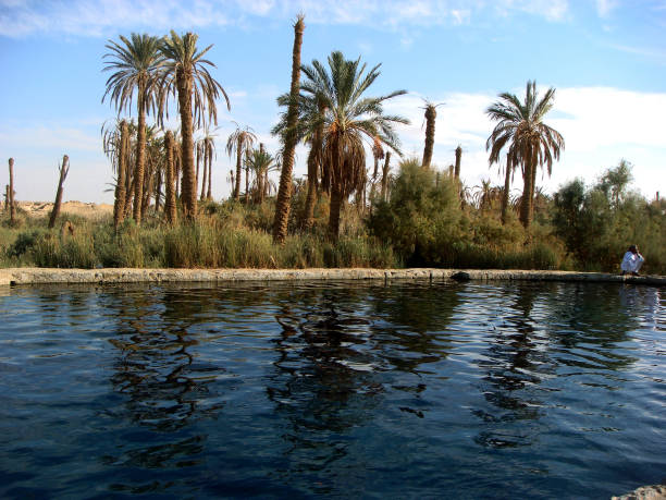 Feluccas on the Nile at Aswan, Egypt.