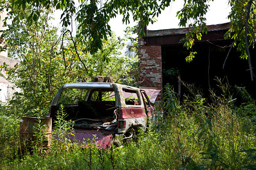 Nature's Reclamation: Abandoned red pickup truck overtaken by thriving greenery in Pierceton, Indiana. A powerful metaphor for the resilience of nature and the passage of time amidst urban decay at the Pierceton Factory.