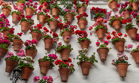 Flowers and pots in the patios of Córdoba in Spain, with the Festival of the patios declared a World Heritage Site