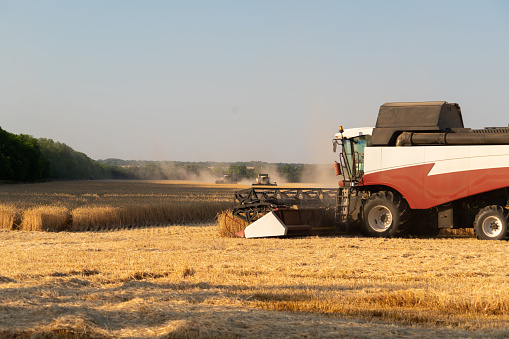 Combine harvester on the wheat field.