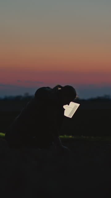 SLO MO Lockdown Shot of Female Environmentalist Working on Laptop and Analyzing Soil in Farm against sky During Sunset