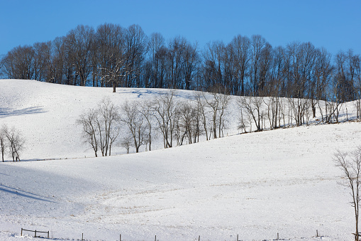 Agricultural landscapes after a winter event in rural Virginia, USA