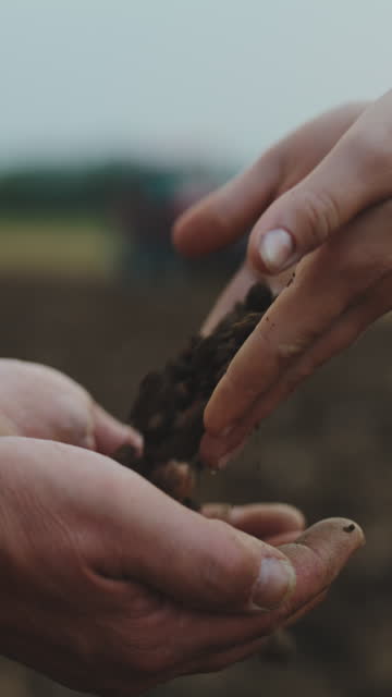 SLO MO Cropped Hands of Male and Female Environmentalist Giving Soil to Each Others Hands Cupped in Field
