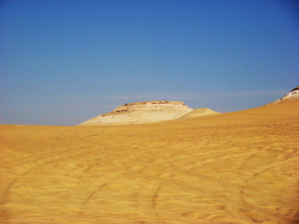 Siwa oasis desert, western desert, Egypt