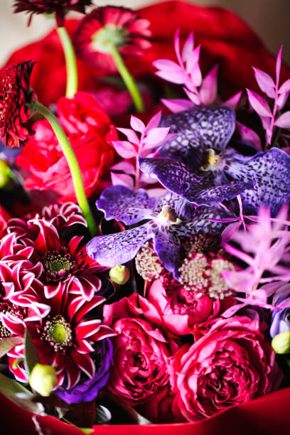 istock Colorful Flowers in Red Vase 2027529813