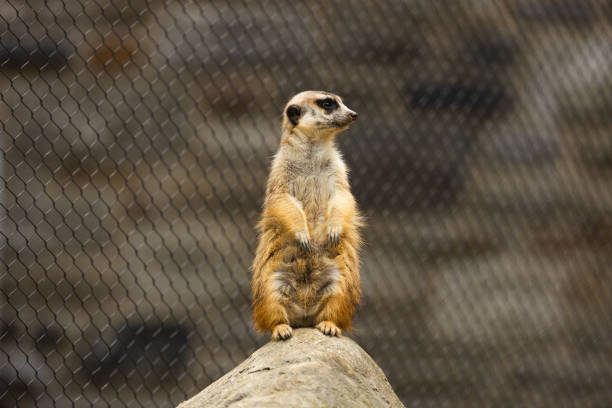 Cleveland Metroparks Zoo