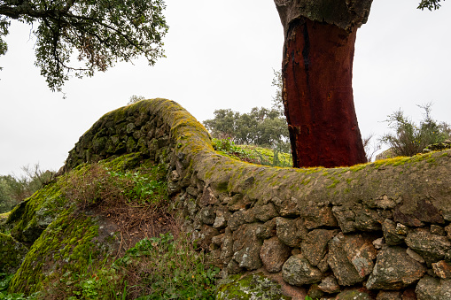 Stone wall from round stones