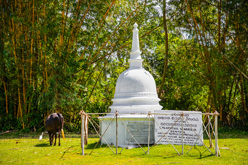 Kalutara, Sri Lanka 09 february .2023small white traditional Sri Lankan stupa stands on green grass against a background of tall bushes and trees