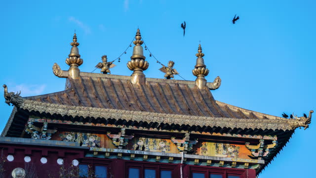 A group of crows hovered over the temple