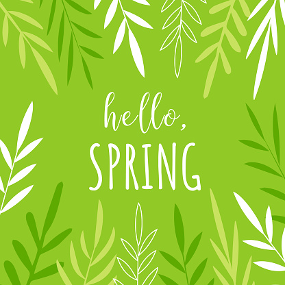 Hello Spring. Postcard with hand-drawn plant elements. Doodle style, modern flat design