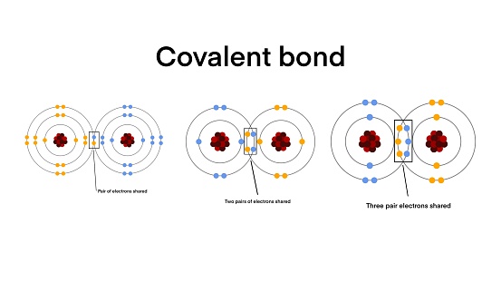 A covalent bond is a chemical bond that involves the sharing of electrons to form electron pairs between atoms, Scientific Designing Of Covalent Bond Types, Polar, Coordinate Bonds Types, Three types
