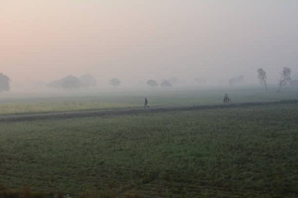 istock a morning in India 2027587823