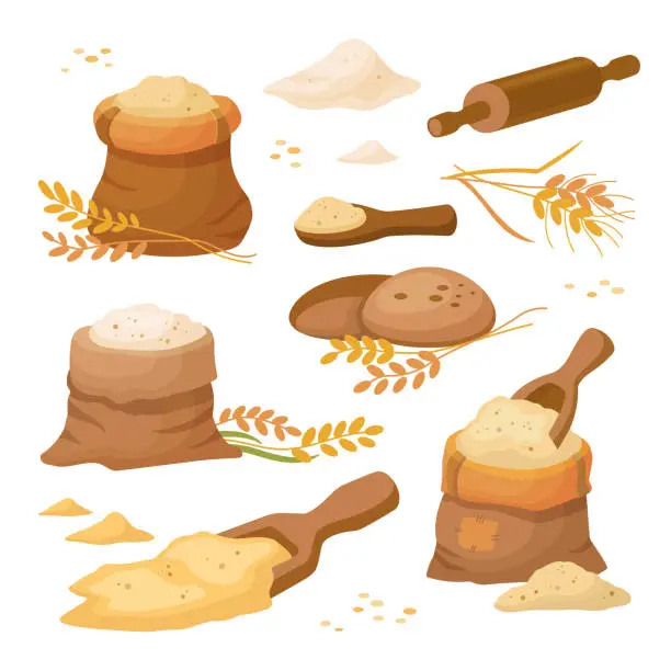 Vector illustration of Sacks with wheat grains and flour. Flour in bag with wooden scoop. Set of various flour bales in cartoon style, vector