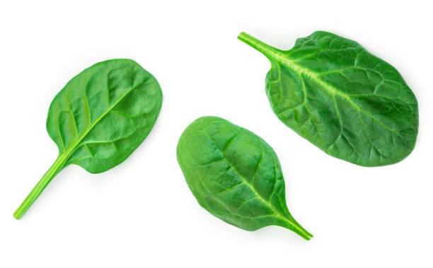 istock Baby Spinach leaves isolated on white background. Fresh spinach top view. Flat lay 2027607572