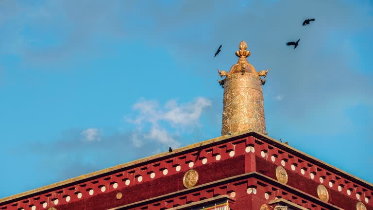 A group of crows hovered over the temple