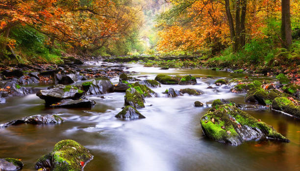 istock Beautiful  Germany pictures 2027636619