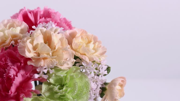 Bouquet of carnations.