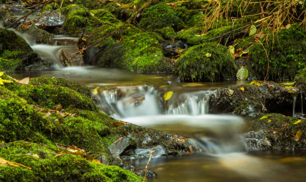 istock Beautiful  Germany pictures 2027640046