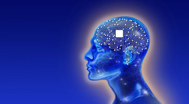 istock Human head with human brainmade out of circuit board as brain anatomy 2027642319