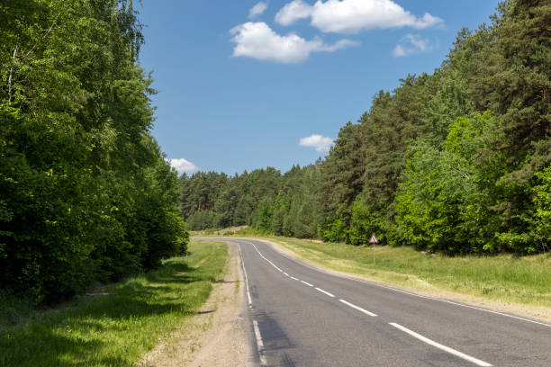 istock paved road with trees in the forest in sunny weather 2027654113