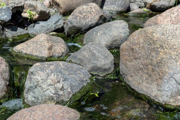 Smooth stones with algae in shallows are visible through the transparent water. Calm wavy surface of the water.