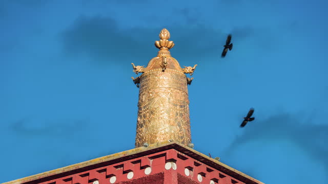A group of crows hovered over the temple