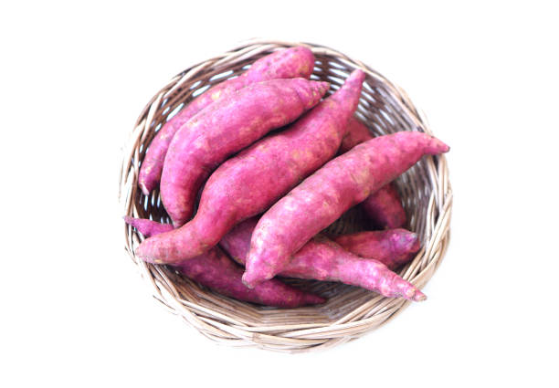 Horizontal full frame of harvested sweet potatoes or yams of orange and white varieties at farmers markets