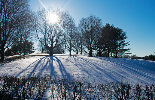 A wooded landscape after the winter morning snow, with long shadows cast by the sun, which is blocked by bare tree branches. A natural scenic view in a city park, Minneapolis, Minnesota, USA.