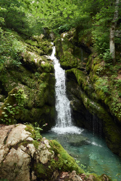 istock Secluded forest waterfall cascading into a serene pool. Nestled in lush greenery 2027685894