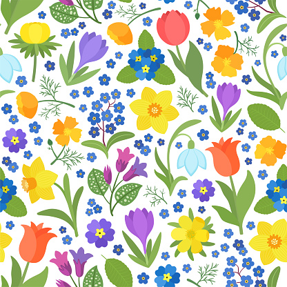 Colorful repeat design vibrant flowers seamless pattern. Spring flower crocus, snowdrop, daffodil, tulip, forget-me-not, California poppy. Spring background.