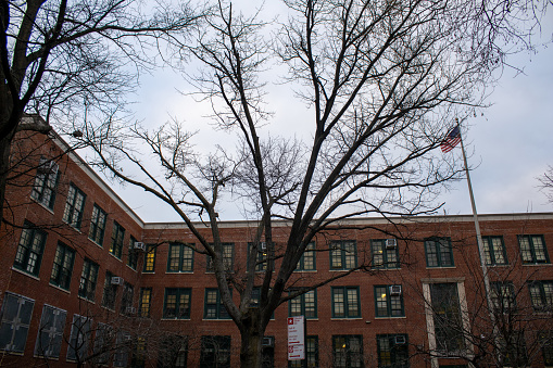 nyc, United States – February 01, 2024: A traditional red brick building in New York with leafless trees in the foreground