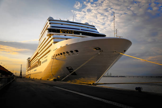 crucero de lujo atracado en el puerto de río de janeiro - rio carnival brazil carnival rio de janeiro fotografías e imágenes de stock