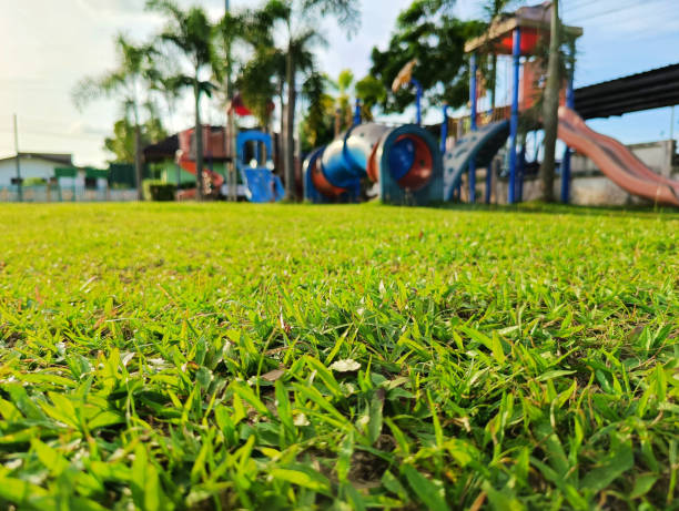 Little child boy running forward in the big green grass field summer day. kid freedom concept.