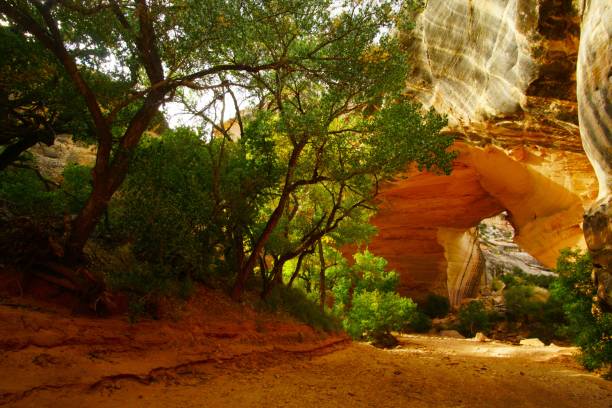 istock Natural Bridges National Monument Utah 2027758522